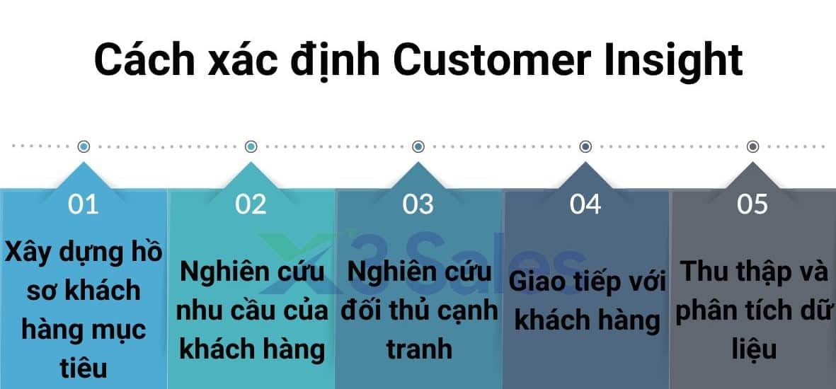 Customer Insight là gì? Nó quan trọng thế nào trong marketing