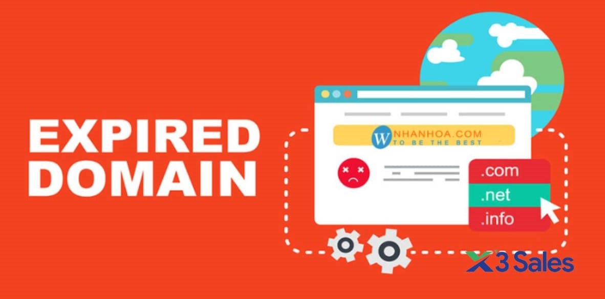 Tìm hiểu PBN là gì? 7 bước xây dựng PBN chuẩn SEO