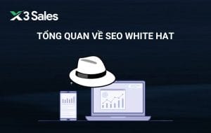 Tổng quan về seo white hat và Cách triển khai mới nhất 2025